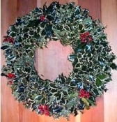 16" White Holly Wreath