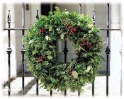 Holly & Evergreen Wreath. approximately 20 inches