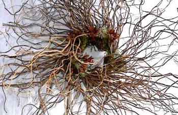 Curly Willow Wreath